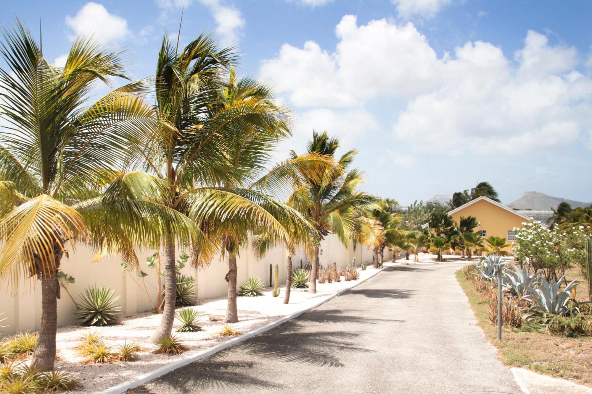 Abc Lodges Curacao Виллемстад Экстерьер фото