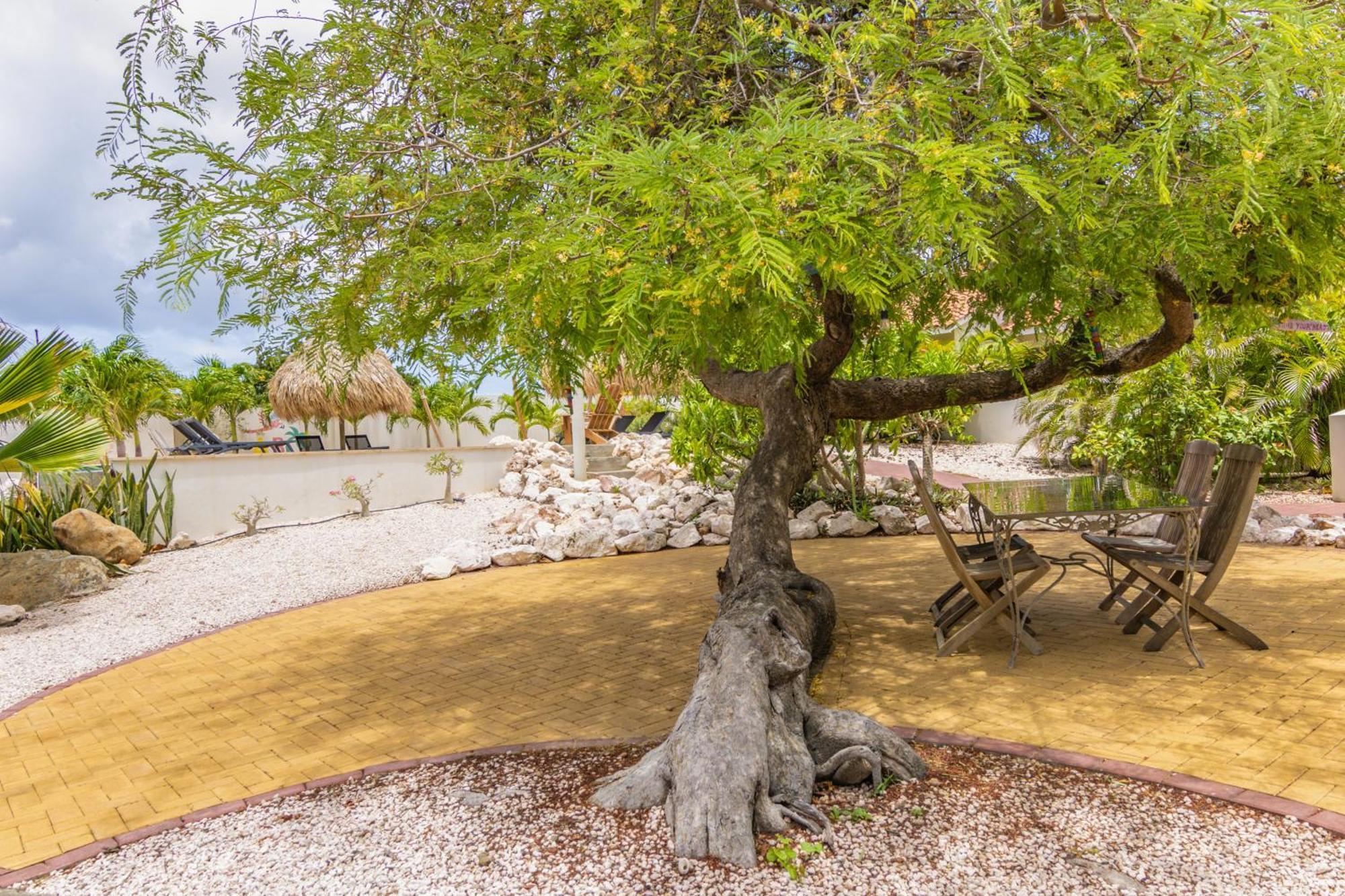 Abc Lodges Curacao Виллемстад Экстерьер фото