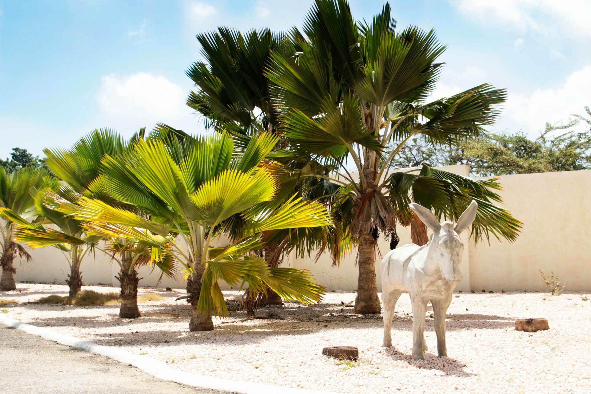 Abc Lodges Curacao Виллемстад Экстерьер фото